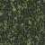 forest green granite sample